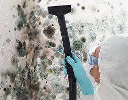 Tatamy, PA Mold Prevention & Removal  Company